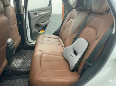 Car Back Cushion