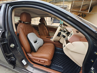 Car Back Cushion