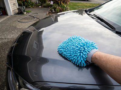 Car Wash Mitt