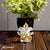 Neodrift® Ganesha Idols-