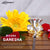 Neodrift® Ganesha Idols-