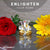 Neodrift® Ganesha Idols-