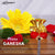 Neodrift® Ganesha Idols-