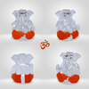 Neodrift® Ganesha Idols-
